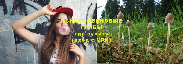 дживик Балахна