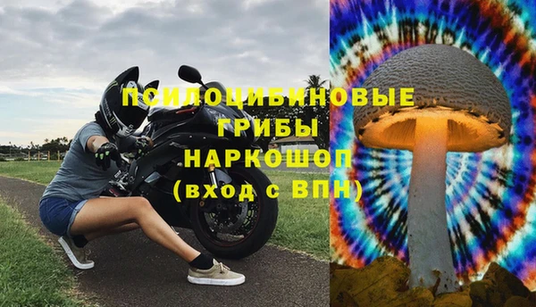 гидра Аркадак