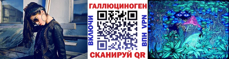 KRAKEN как войти закладки Любань Галлюциногенные грибы Psilocybe