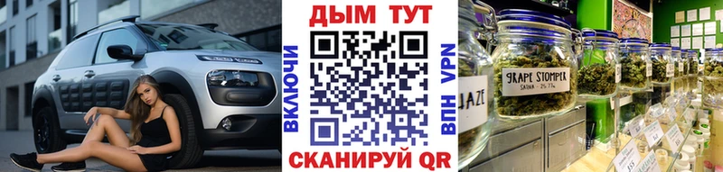 Бошки Шишки планчик Любань